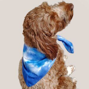 Kodiak Island Tie Dye Dog Bandana in Blue Hand Dyed Pet Scarf by Akasha Sun